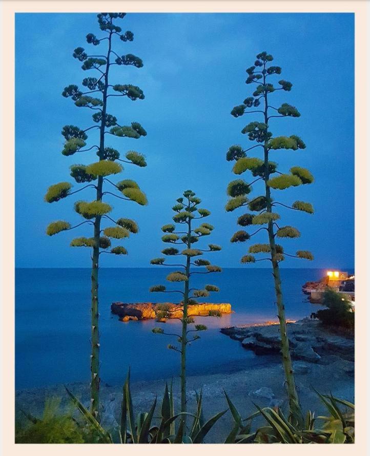Villa La Rucchetta Alghero Buitenkant foto