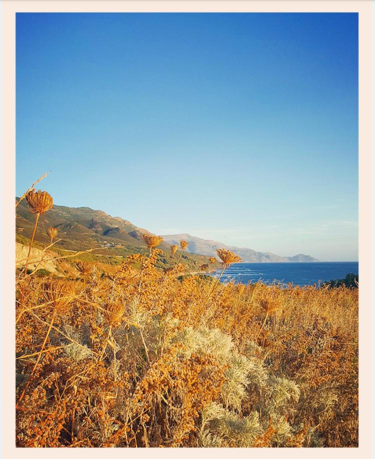 Villa La Rucchetta Alghero Buitenkant foto