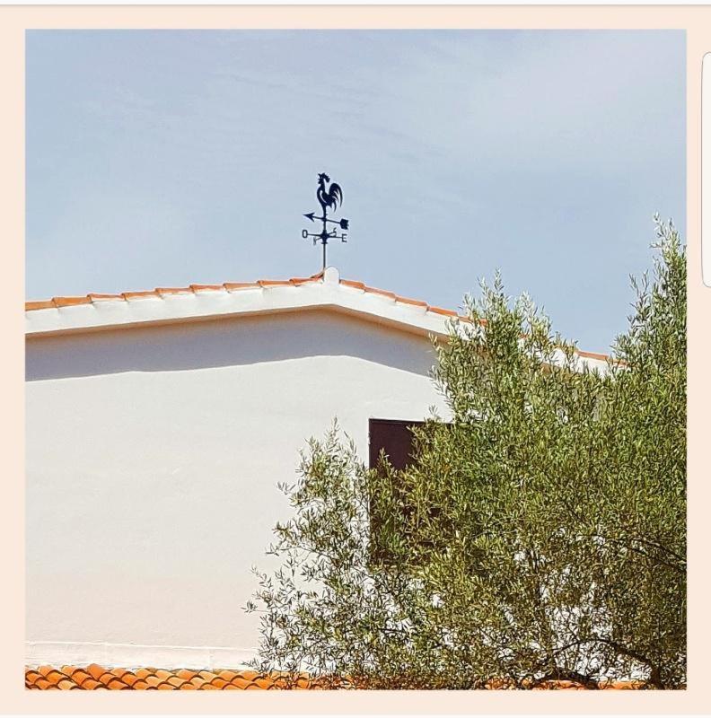 Villa La Rucchetta Alghero Buitenkant foto