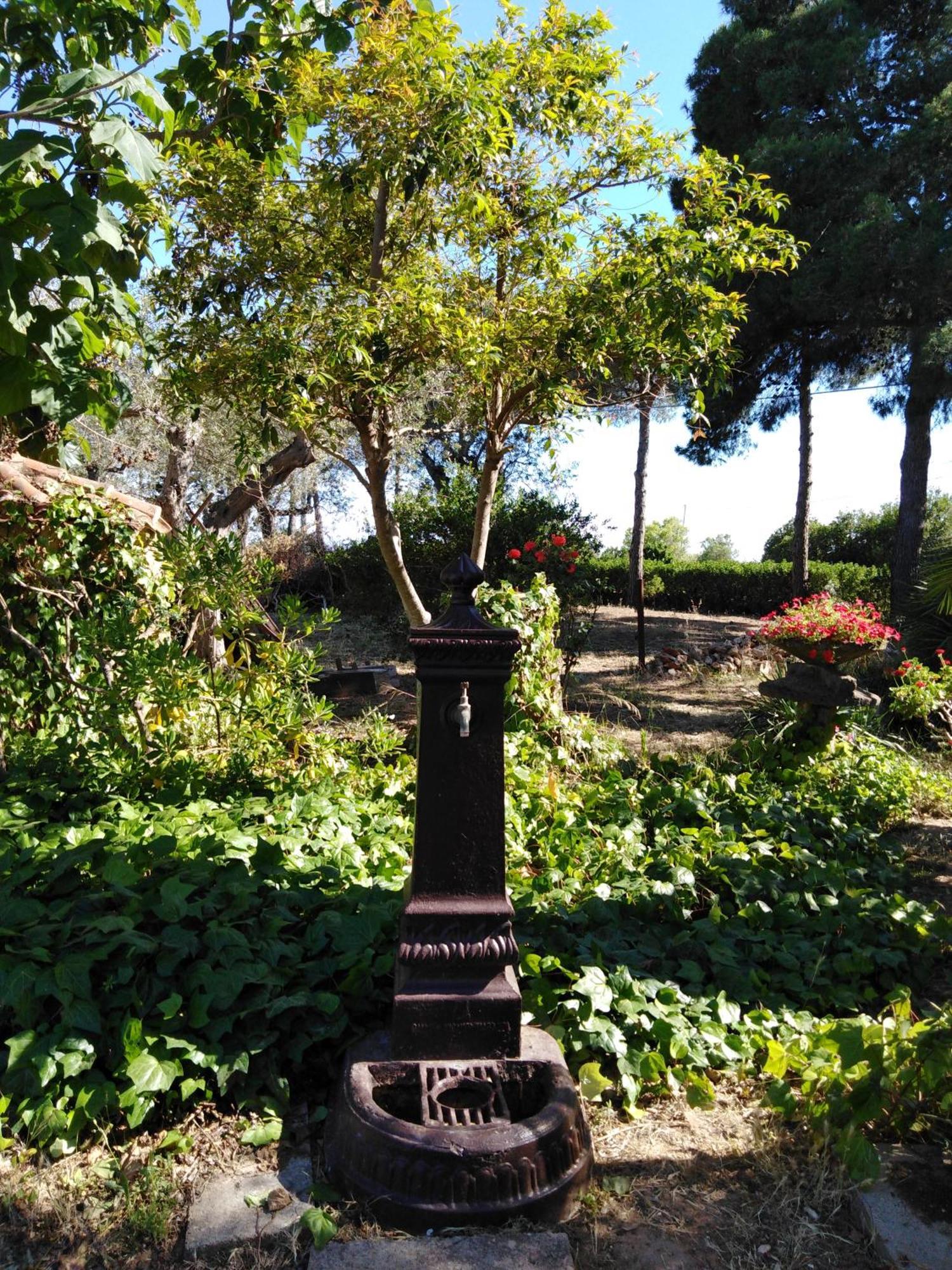 Villa La Rucchetta Alghero Buitenkant foto