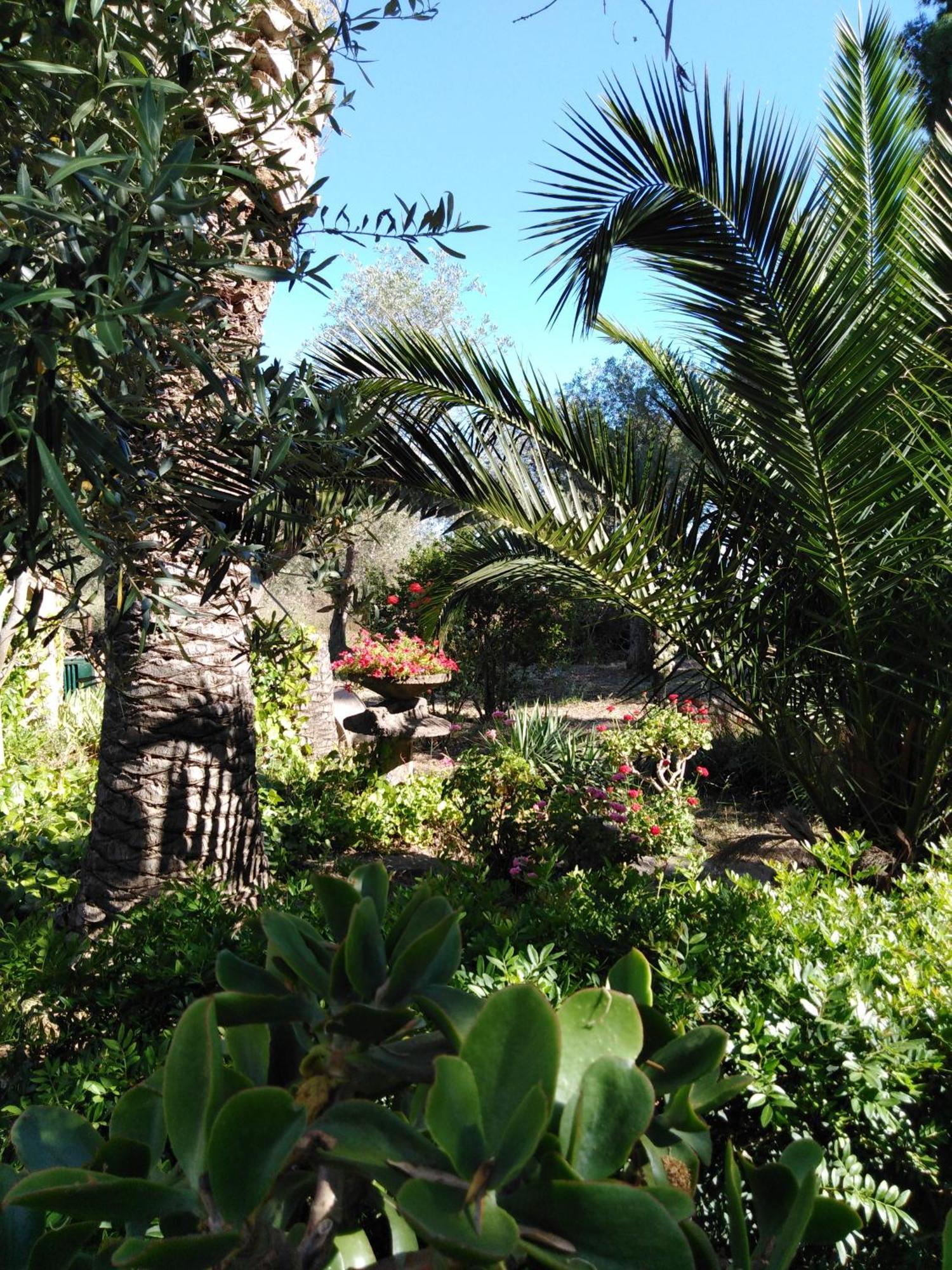 Villa La Rucchetta Alghero Buitenkant foto